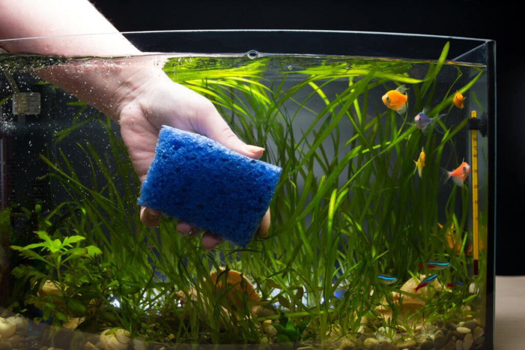 How to Reduce Waterfall Noise in a Fish Tank? Ultimate Guide